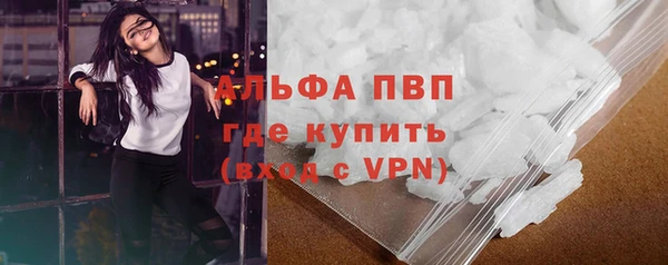 ECSTASY Пересвет