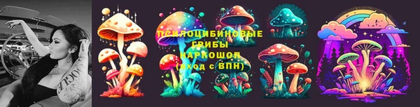 молекула духа Богородицк