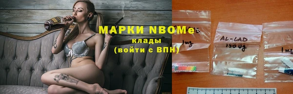 молекула духа Богородицк