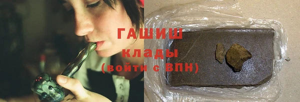 молекула духа Богородицк