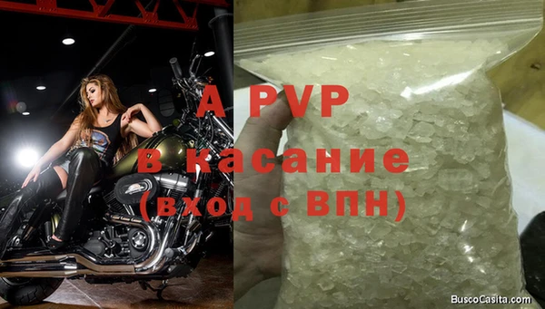 экстази Богданович