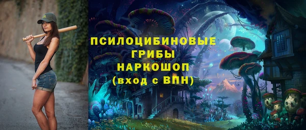 экстази Богданович