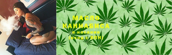 молекула духа Богородицк