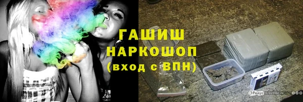 молекула духа Богородицк