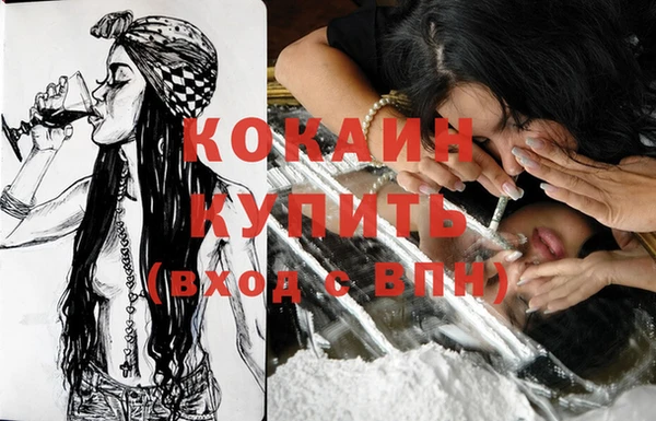 молекула духа Богородицк