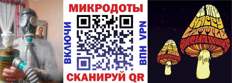 как найти   Тихорецк  Галлюциногенные грибы Cubensis 